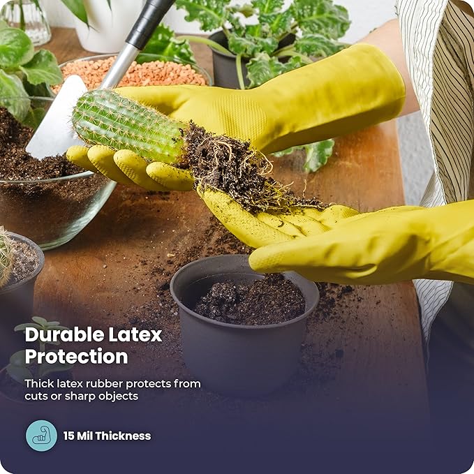 A1 brand latex gloves ranked the best in usa for the 5th time